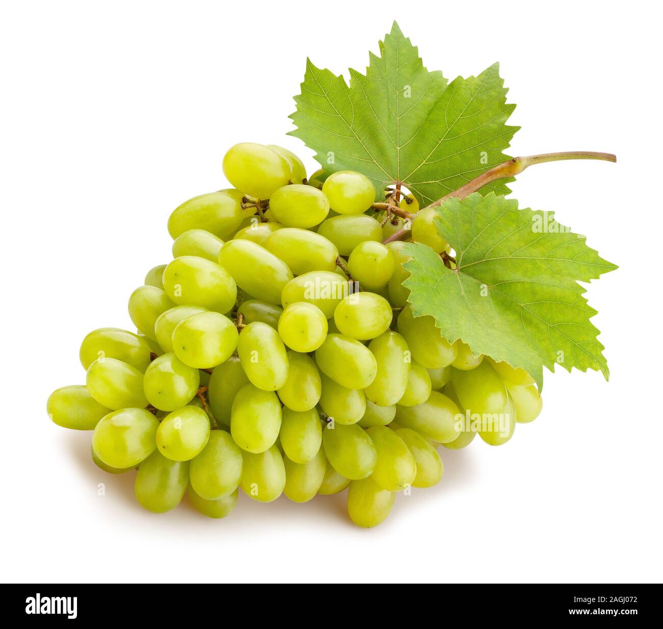 white grape path isolated on white Stock Photo Alamy
