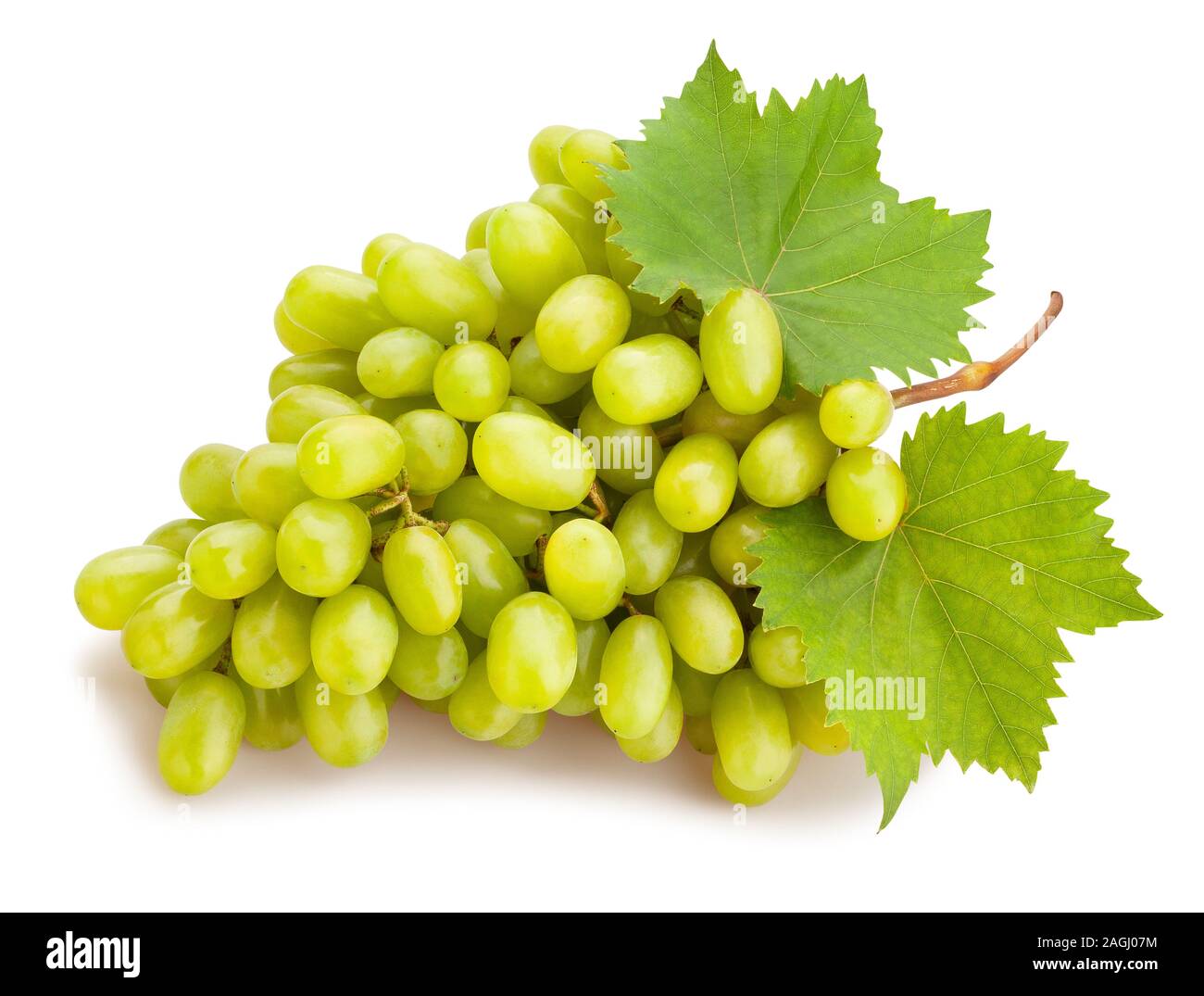 white grape path isolated on white Stock Photo - Alamy