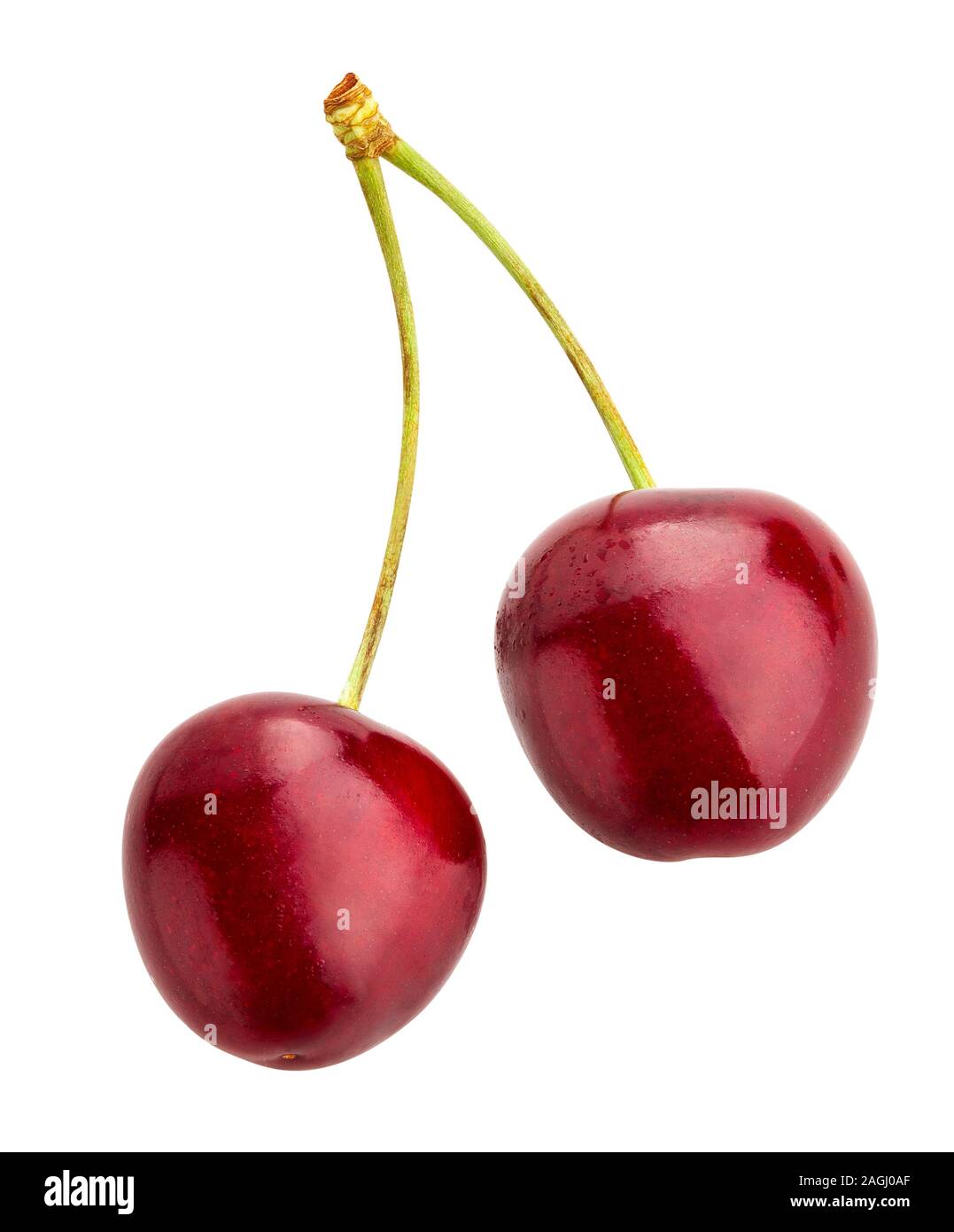 red cherry path isolated on white Stock Photo