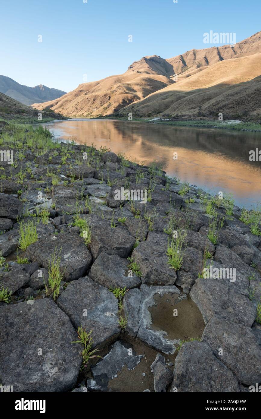 Columnar basalt formation along Idaho's Lower Salmon River Stock Photo