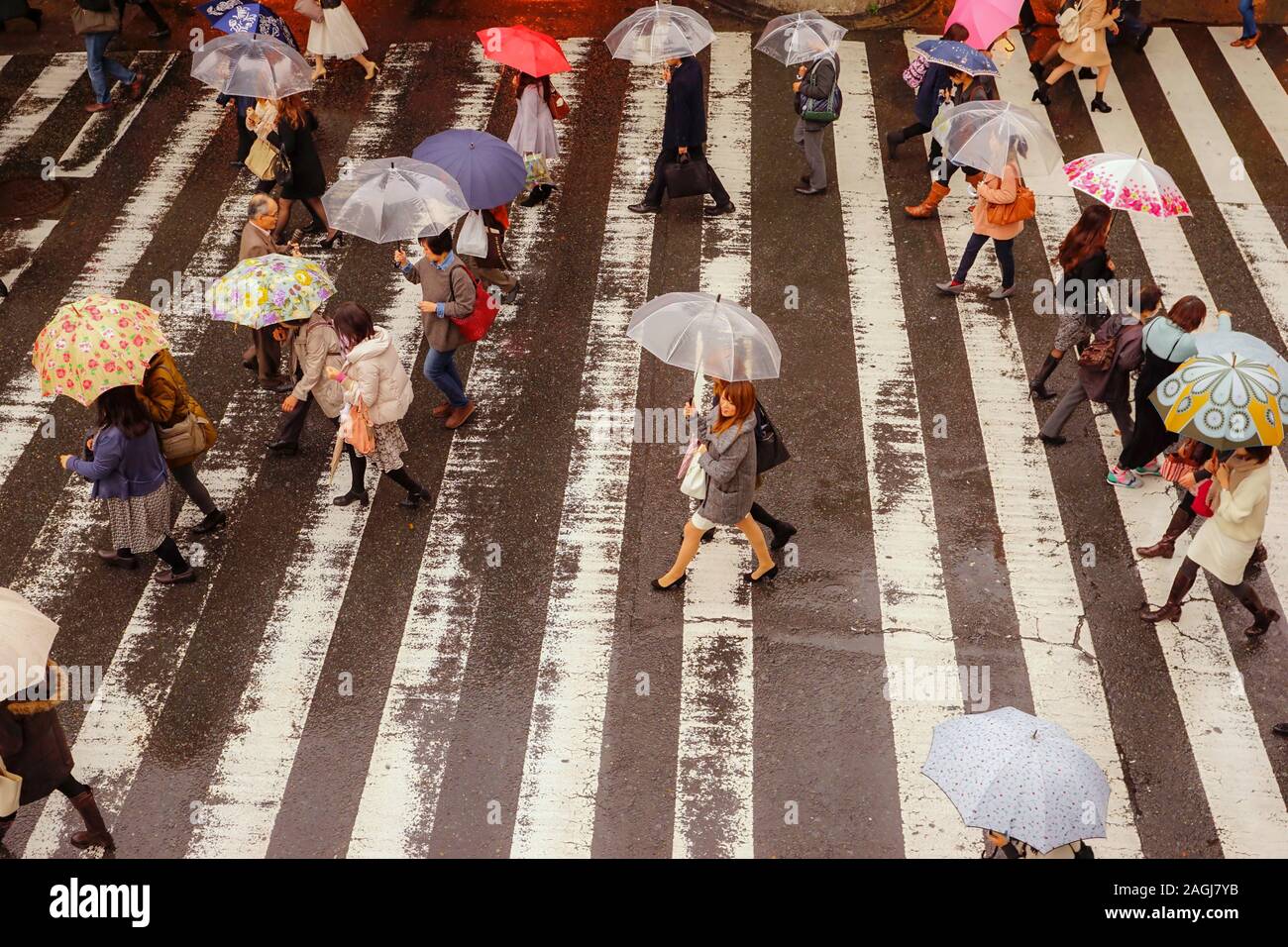 OSAKA, JAPAN - NOVEMBER 25, 2014: People walking under rain in a pedestrian crossing in Tokyo, Japan. Stock Photo