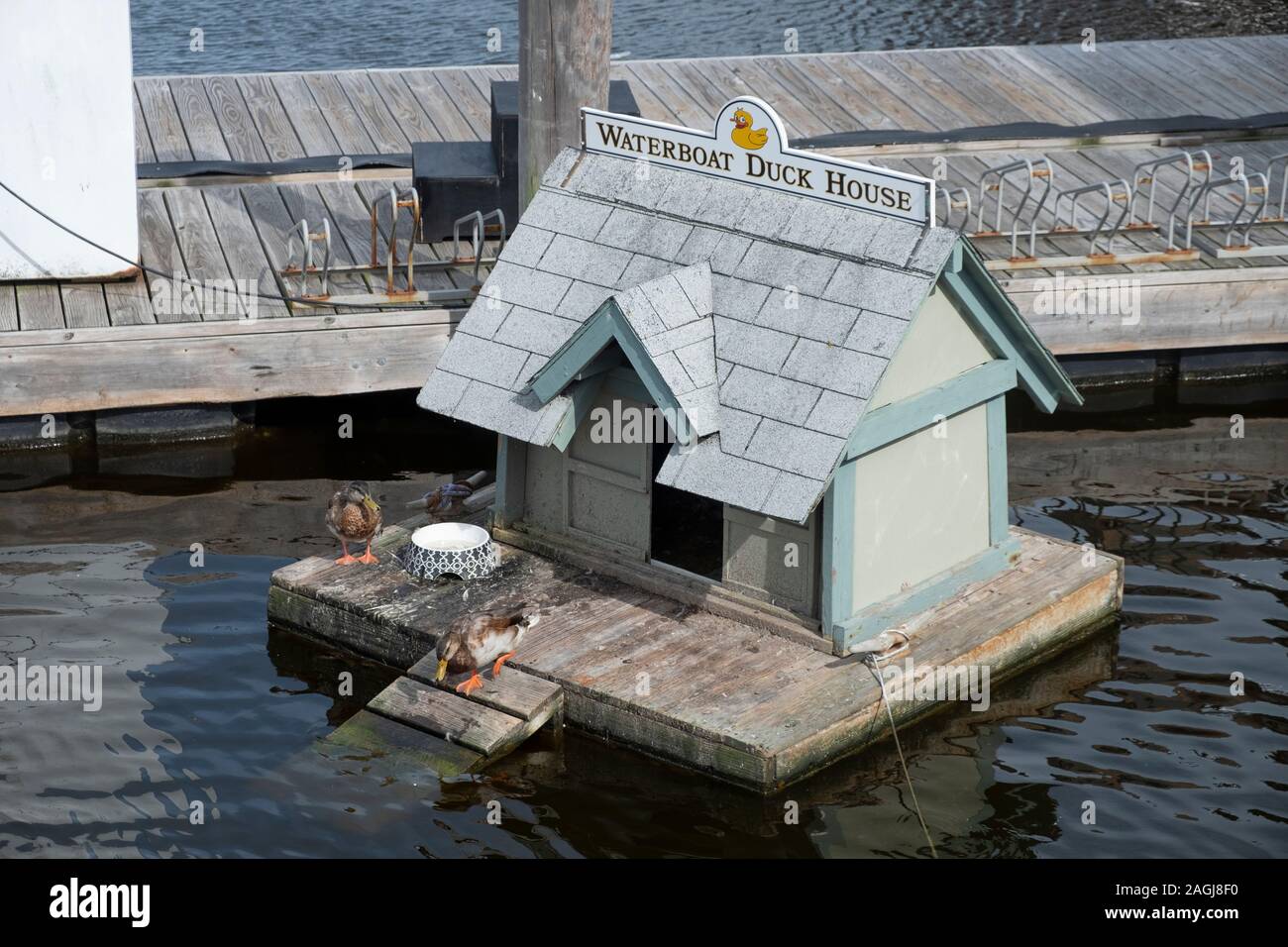 Duck House in harbour at Boston, MA Stock Photo
