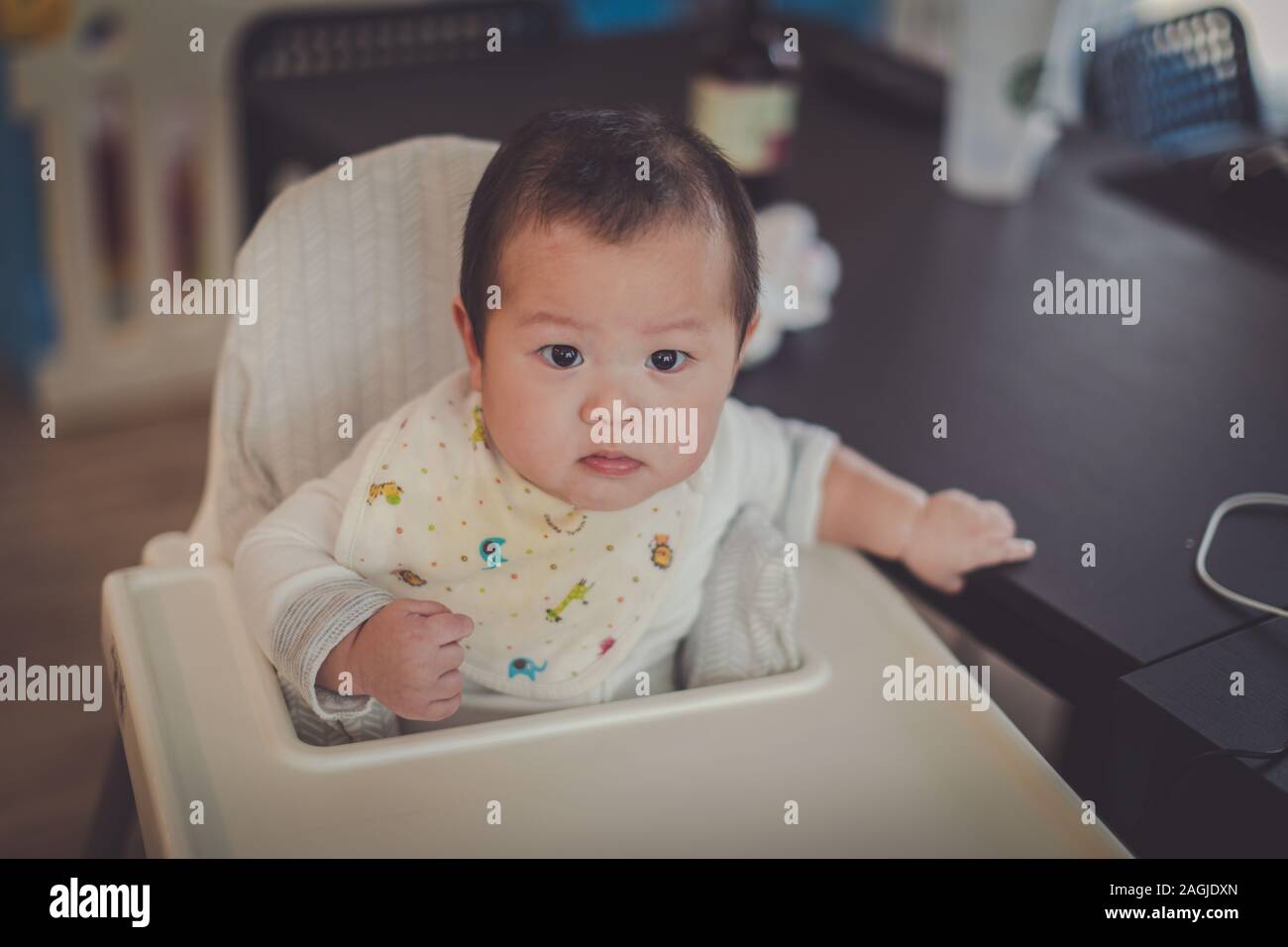 Asian 6 months baby boy sitting high chair at home Stock Photo