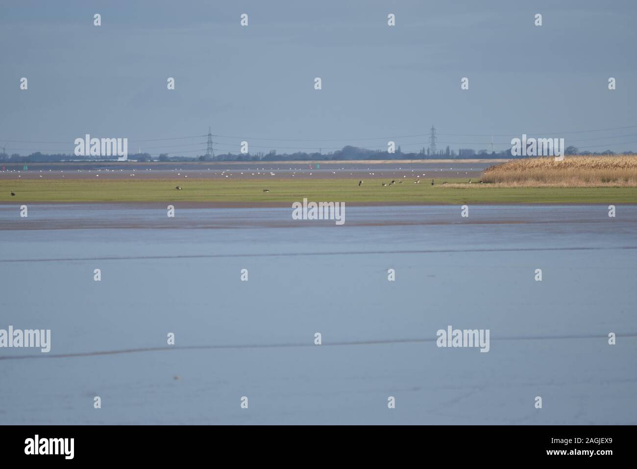 Of north ferriby hires stock photography and images Alamy