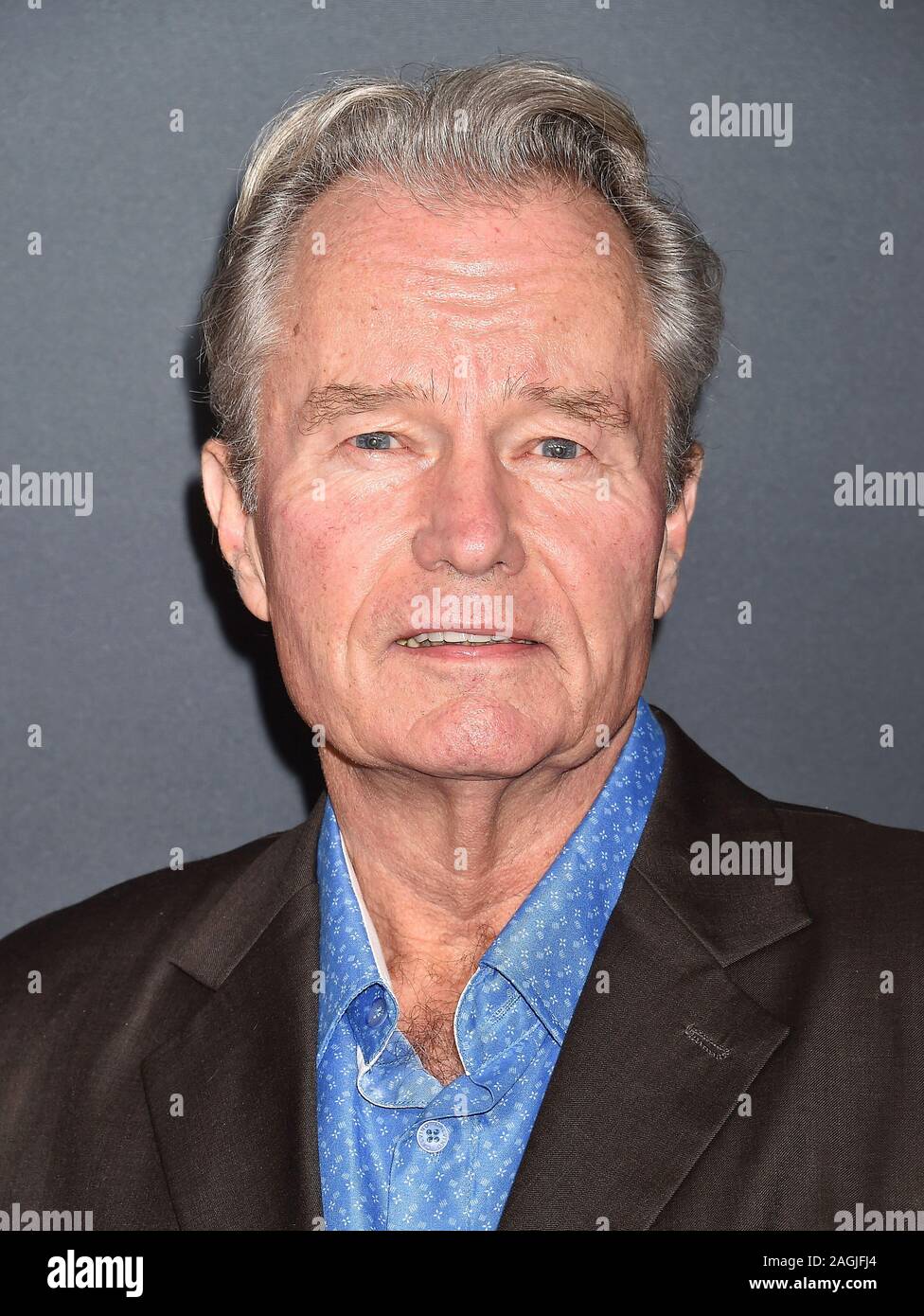 HOLLYWOOD, CA - DECEMBER 18: John Savage attends the premiere of