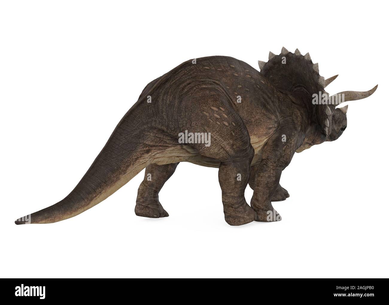 Triceratops Dinosaurs Isolated Stock Photo Alamy