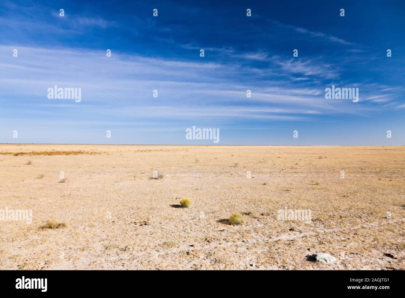 Kalahari desert, near Rakops, Central District, Botswana, South Africa, Africa Stock Photo