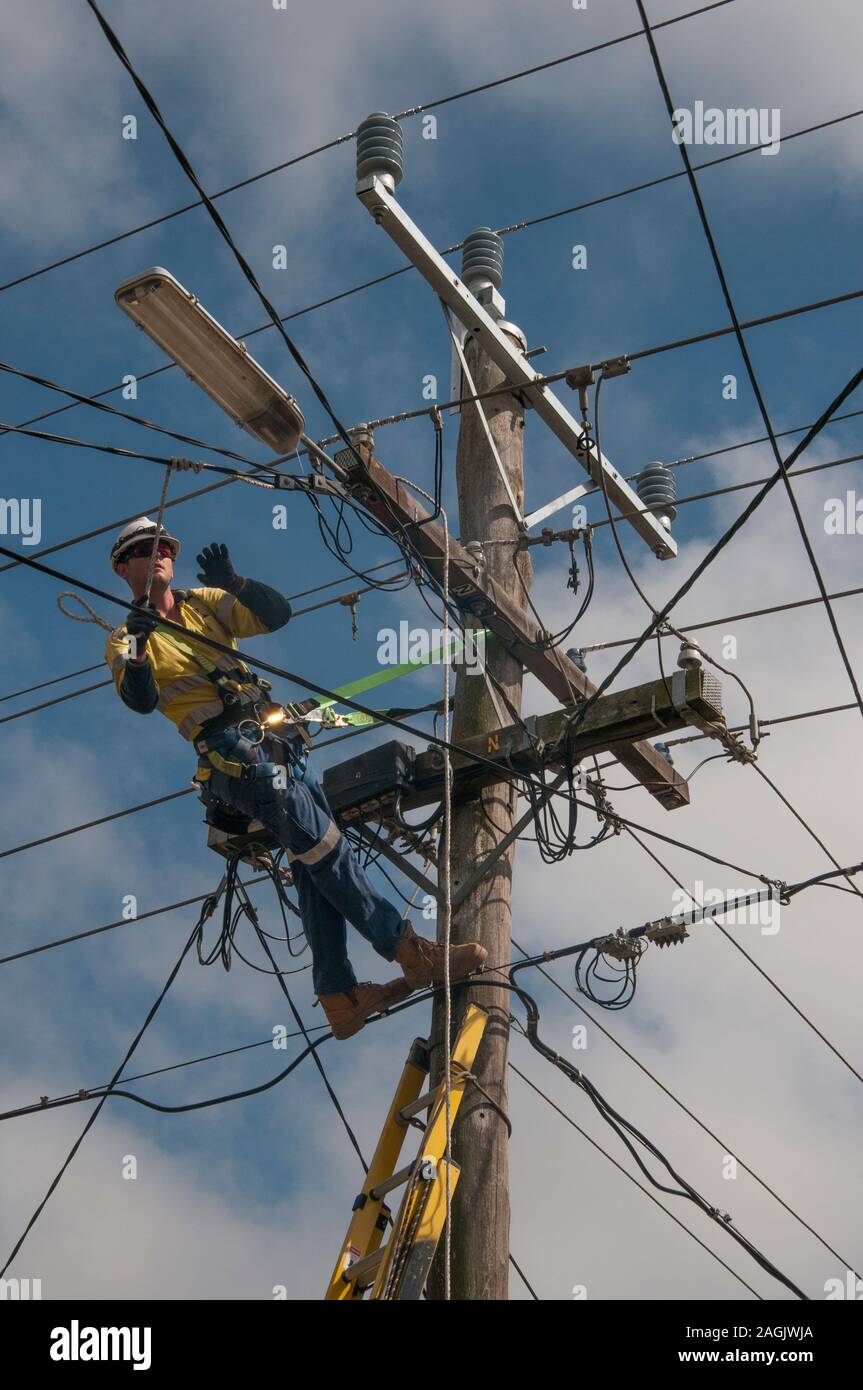 Linesman servicing electrical supply power poles, Melbourne, Australia Stock Photo