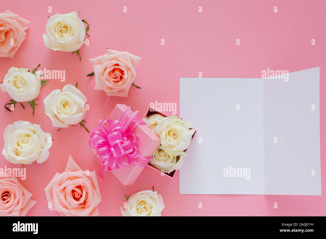 Pink and white roses put on pink background with pink gift box and ...