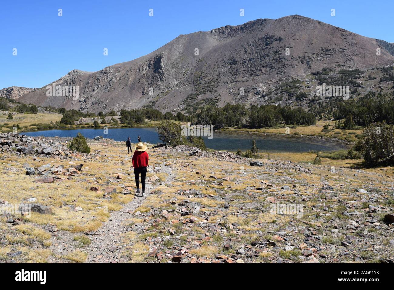 Hikers on the way to Mono Pass.  Lower Sardine Lake is in the background. Stock Photo