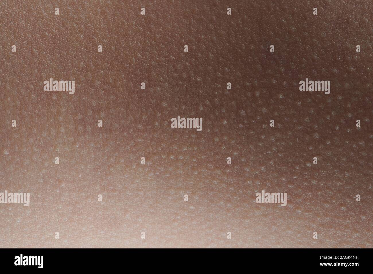 Surface of brown clean skin close up macro view Stock Photo - Alamy