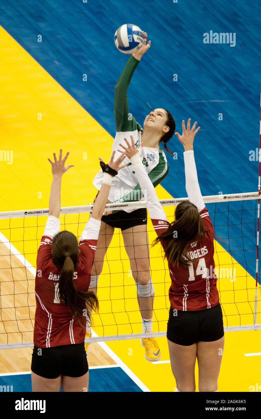 Pittsburgh, PA, USA. 19th Dec, 2019. Pittsburgh, PA - Dec 19th, 2019. Gia Milana from the Baylor Bears hits against the team of Wisconsin; in the NCAA girls volleyball semifinal held at the PPG Arena in Pittsburgh, PA. The Wisconsin Badgers beat the Baylor Bears in 4 sets, moving on to the Finals. Photo by Wally Nell/AAU Volleyball Magazine?ZUMAPress Credit: Wally Nell/ZUMA Wire/Alamy Live News Stock Photo