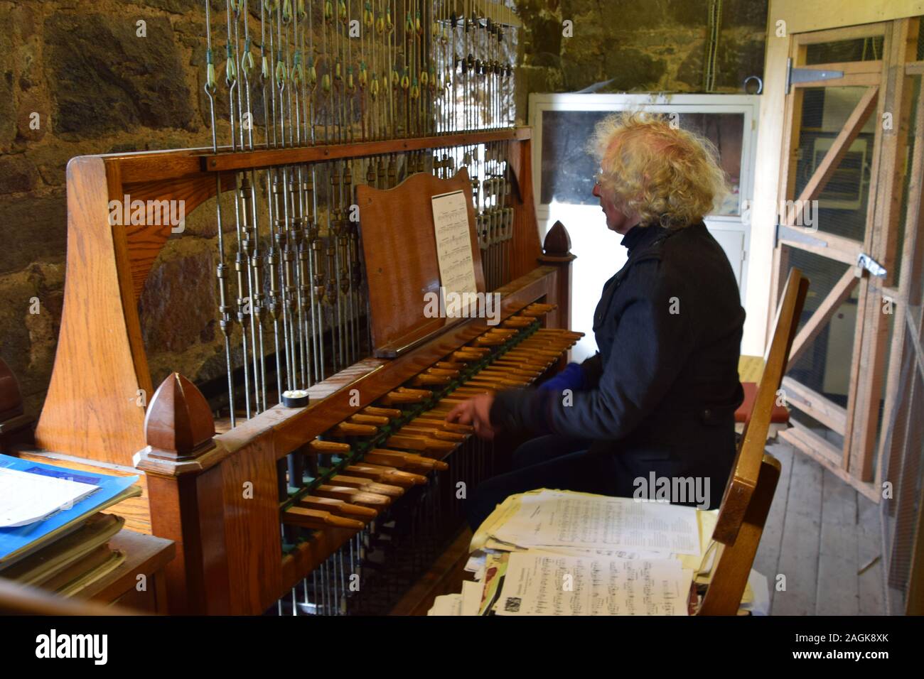 Carilloneur playing the Carillon at Kirk of St Nicholas (Mither Kirk) Aberdeen. Stock Photo