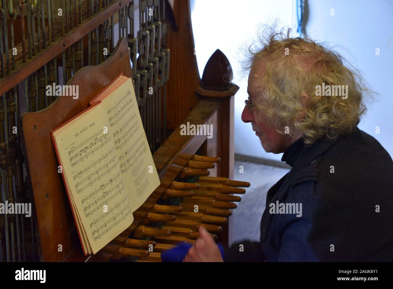 Carilloneur playing the Carillon at Kirk of St Nicholas (Mither Kirk) Aberdeen. Stock Photo