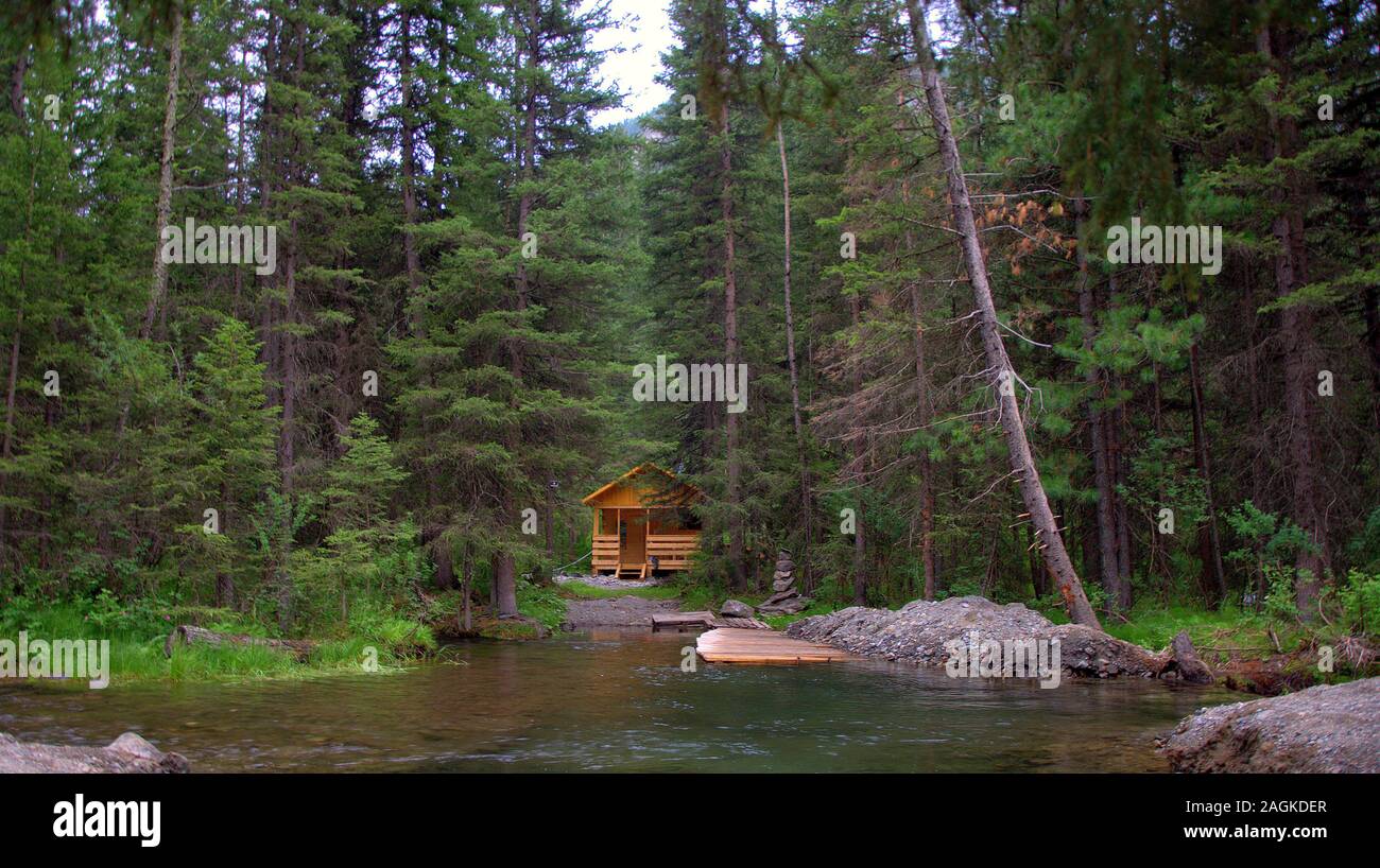 A small cute house in a pine forest by the banks of a mountain river with a wooden pier. Altai, Siberia, Russia. Stock Photo