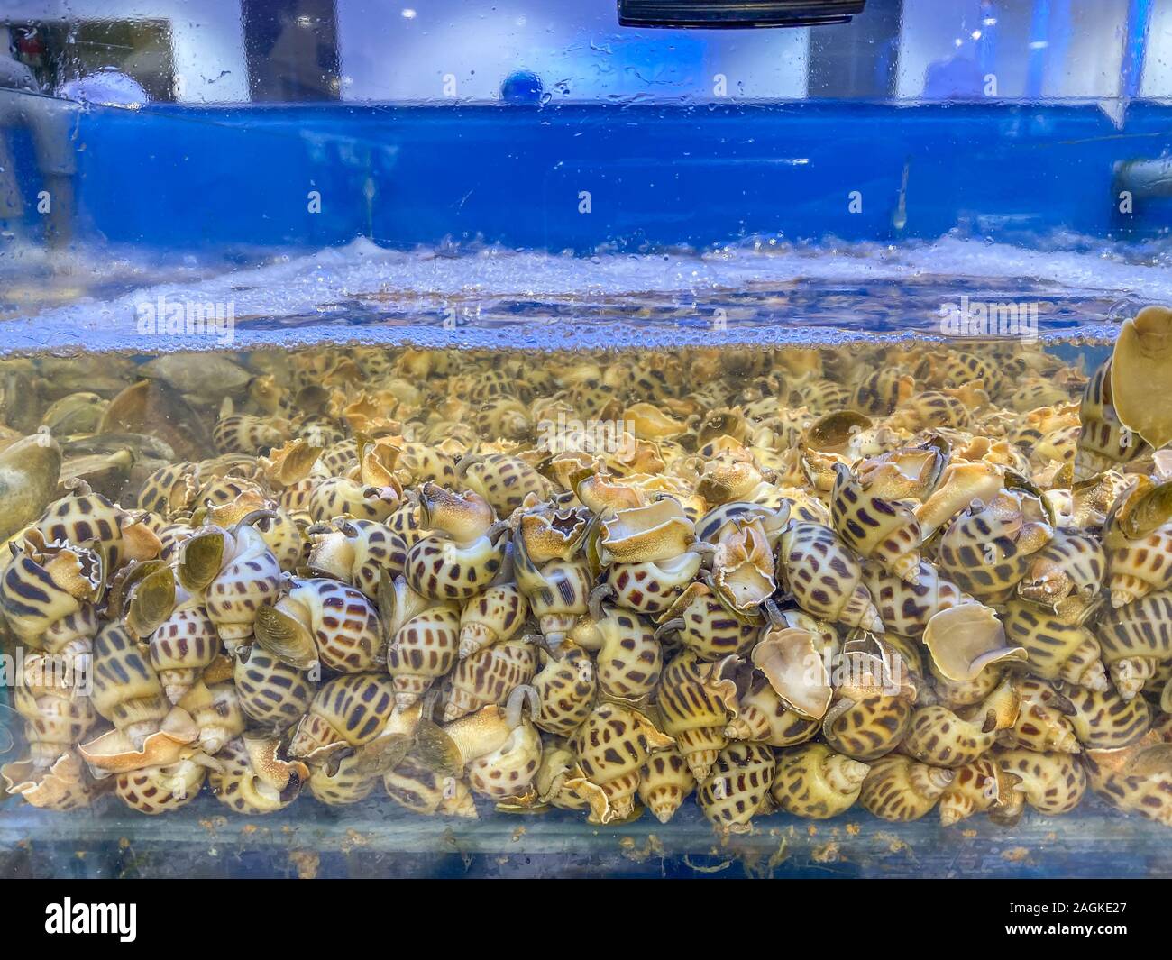 Supermarket snails hires stock photography and images Alamy