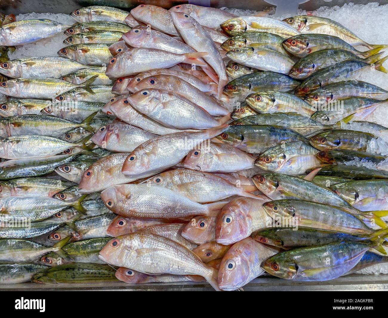 Frozen fresh fish sorted by species at seafood market Stock Photo Alamy