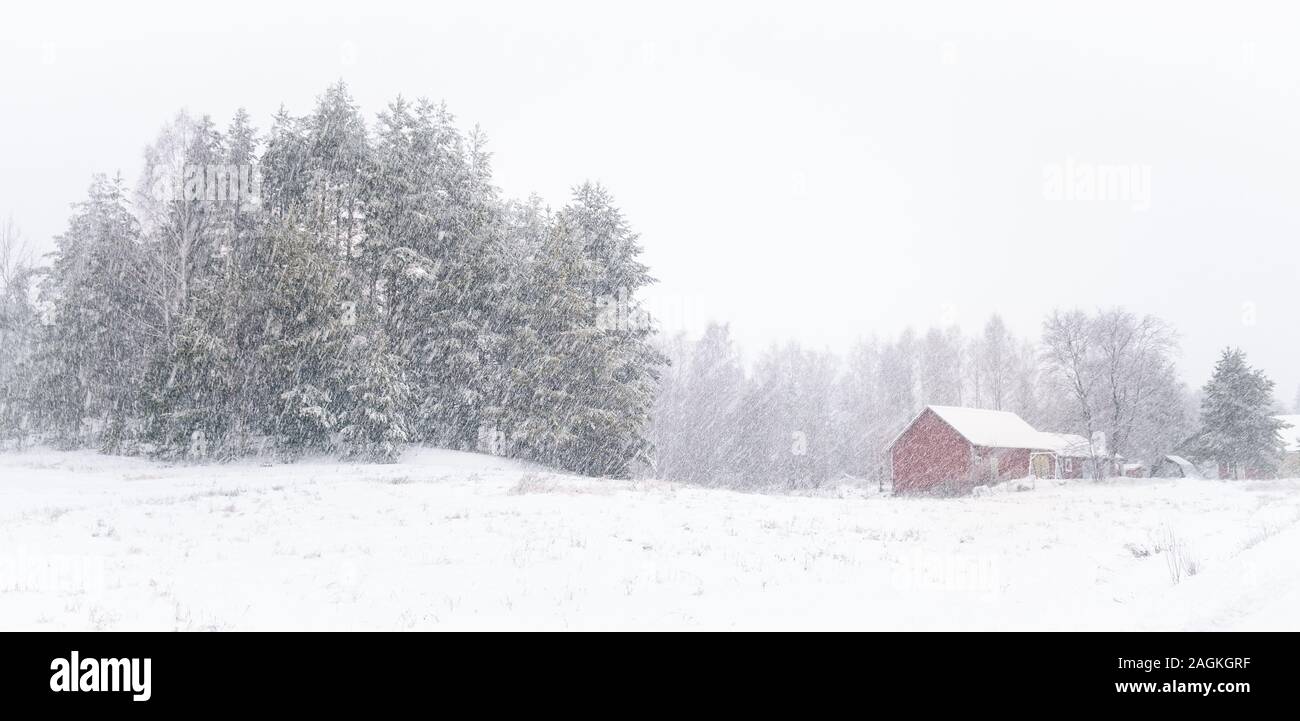 Heavy snowing landscape with snow and cottage at mood winter day in Finland Stock Photo