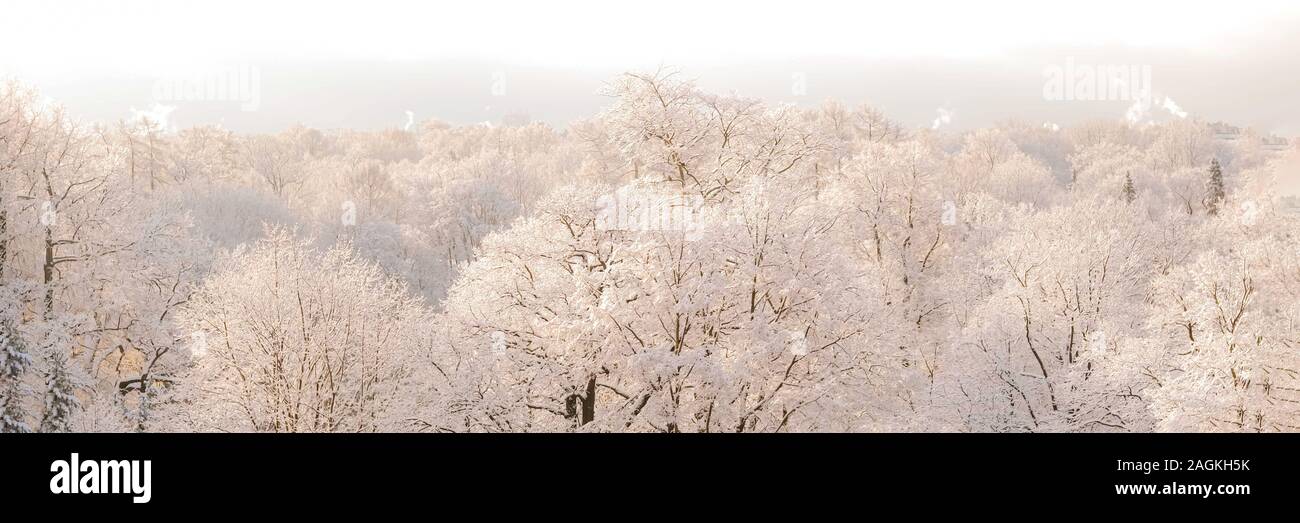 Snowscape banner hi-res stock photography and images - Alamy