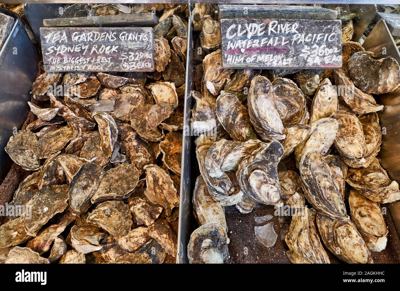 Clam fish market hires stock photography and images Alamy
