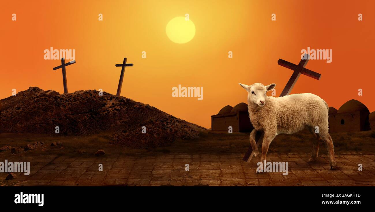 lamb of god jesus christ