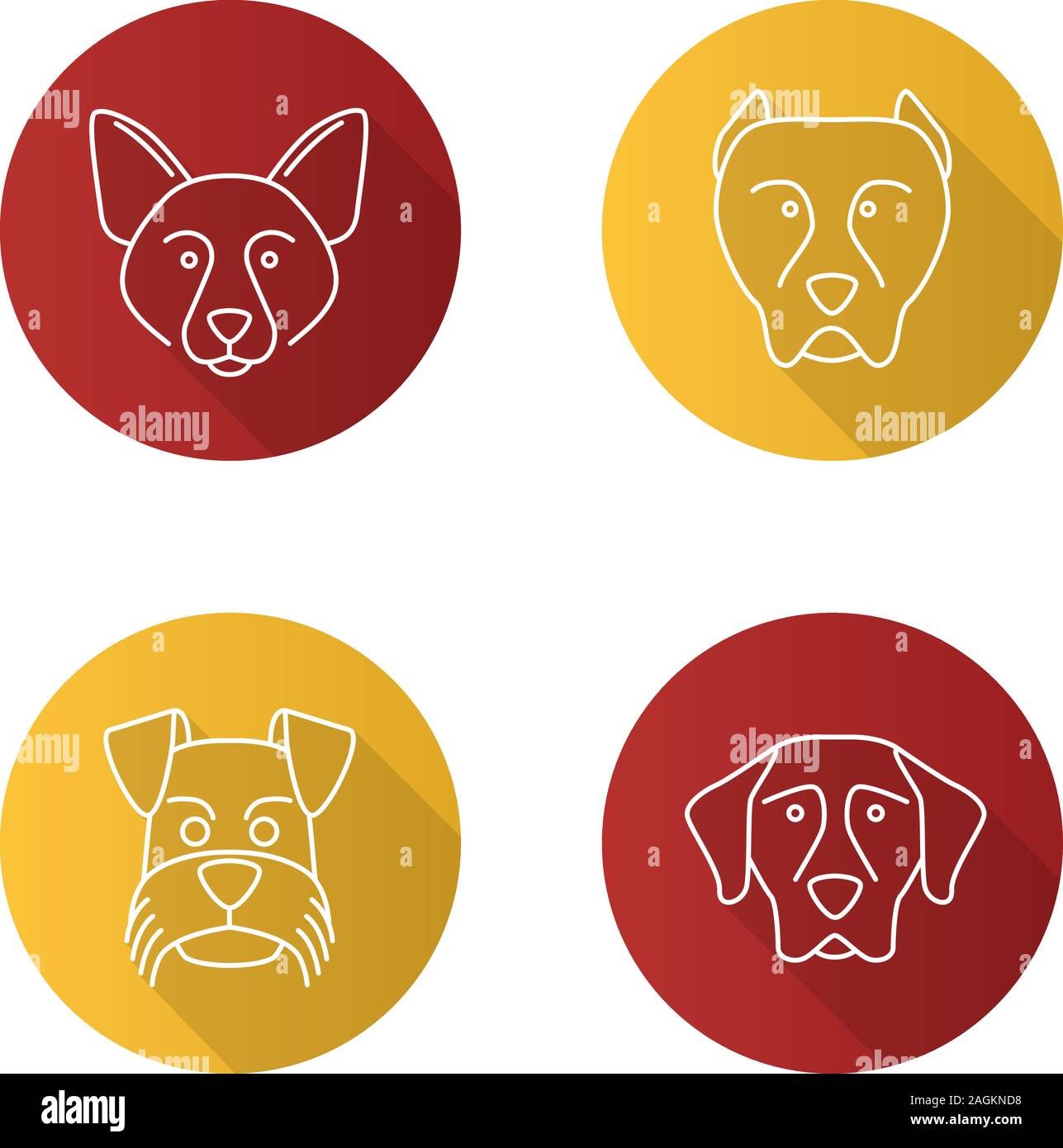 Dogs breeds flat linear long shadow icons set. Border Collie, pit bull, Miniature Schnauzer, German Shorthaired Pointer. Vector outline illustration Stock Vector