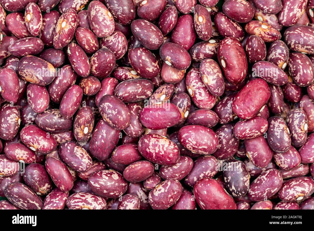 Pinta Alavesa bean close-up. Spain Stock Photo