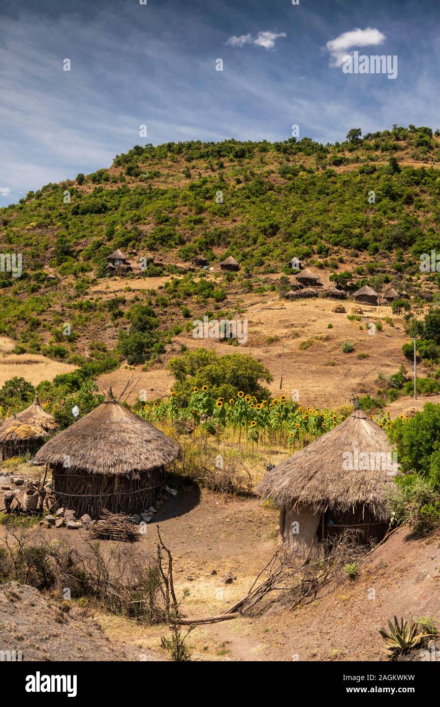 Ethiopia, Amhara Region, Lalibela, Bilbala, traditional circular thatched homes in small agricultural village Stock Photo