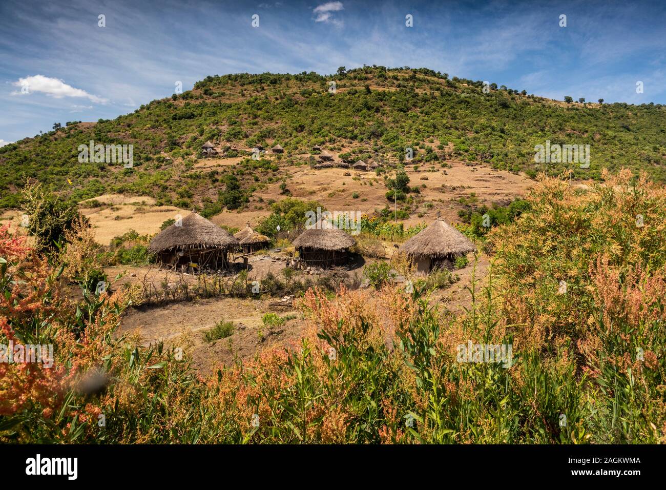 Ethiopia, Amhara Region, Lalibela, Bilbala, traditional circular thatched homes in small agricultural village Stock Photo