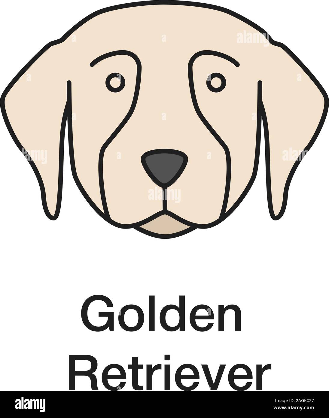Golden Retriever color icon. Guide dog breed. Isolated vector ...