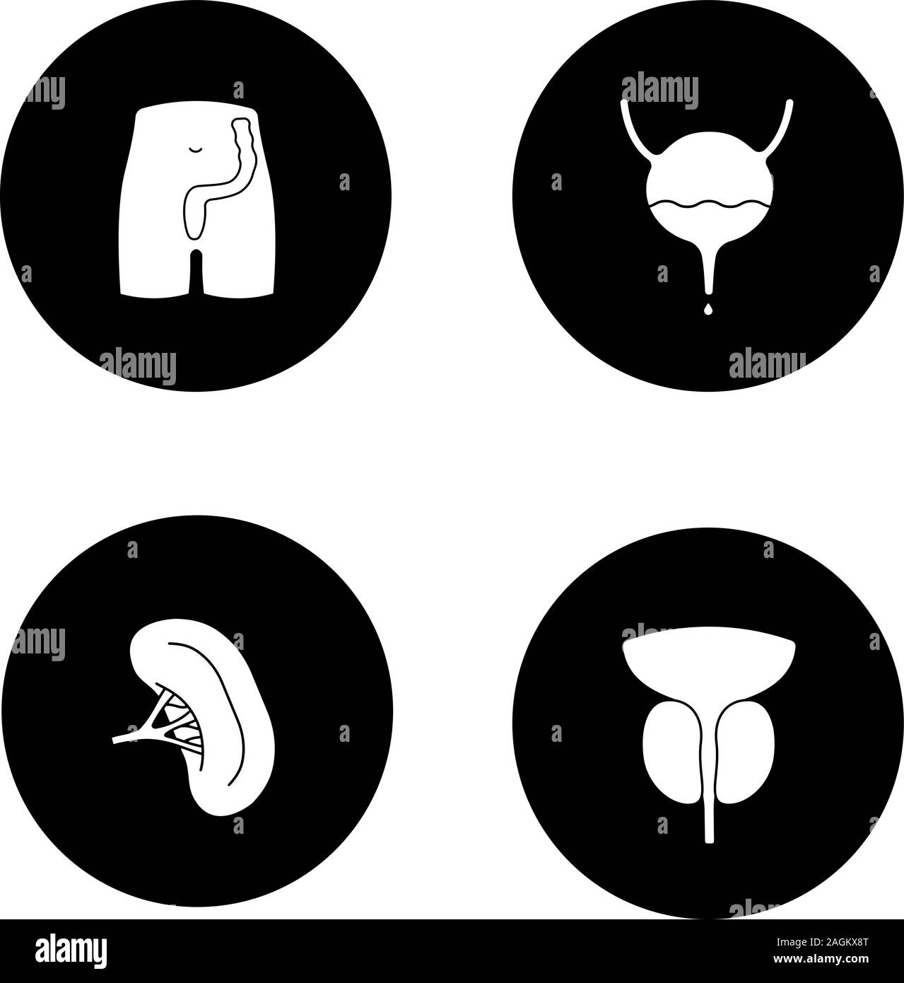 Internal organs glyph icons set. Rectum and anus, urinary bladder, spleen, prostate gland. Vector white silhouettes illustrations in black circles Stock Vector