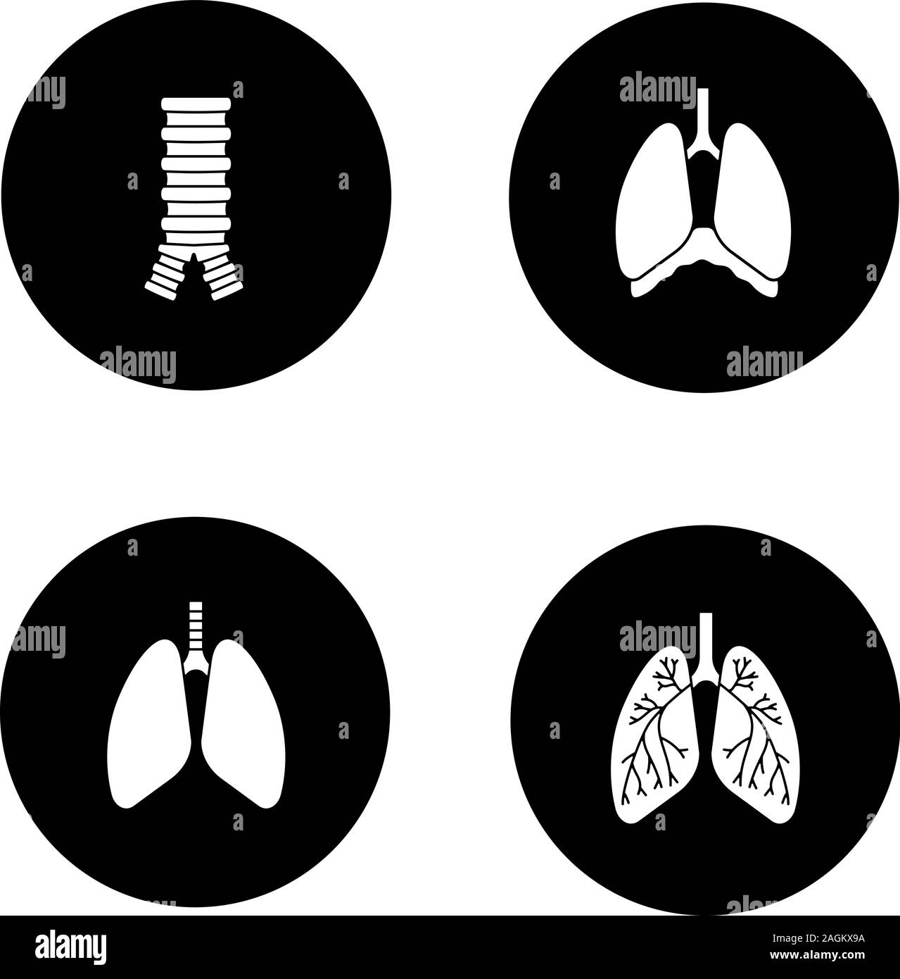 Internal organs glyph icons set. Respiratory system. Trachea, lungs ...