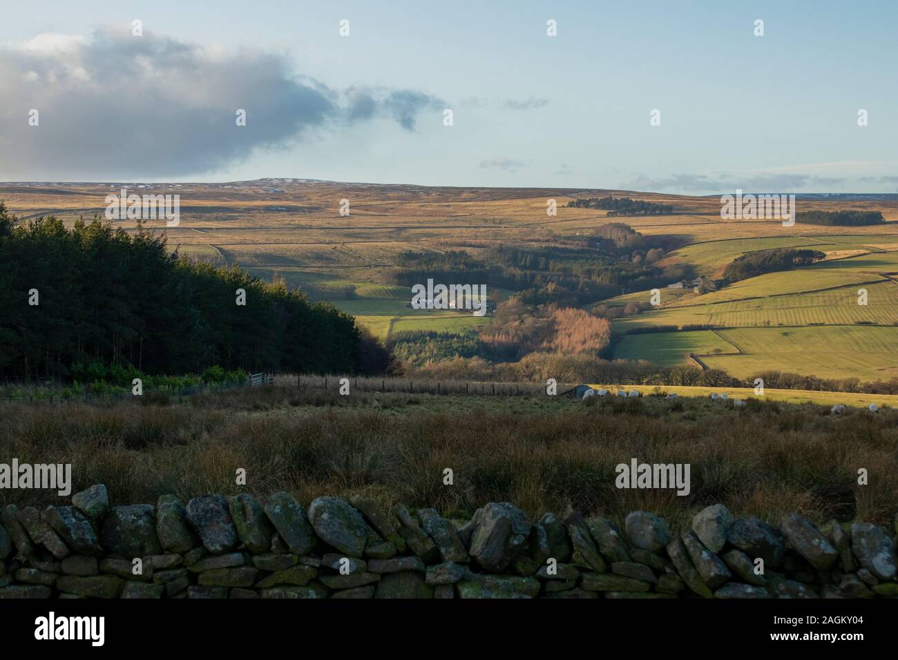 Wolsingham park moor hires stock photography and images Alamy