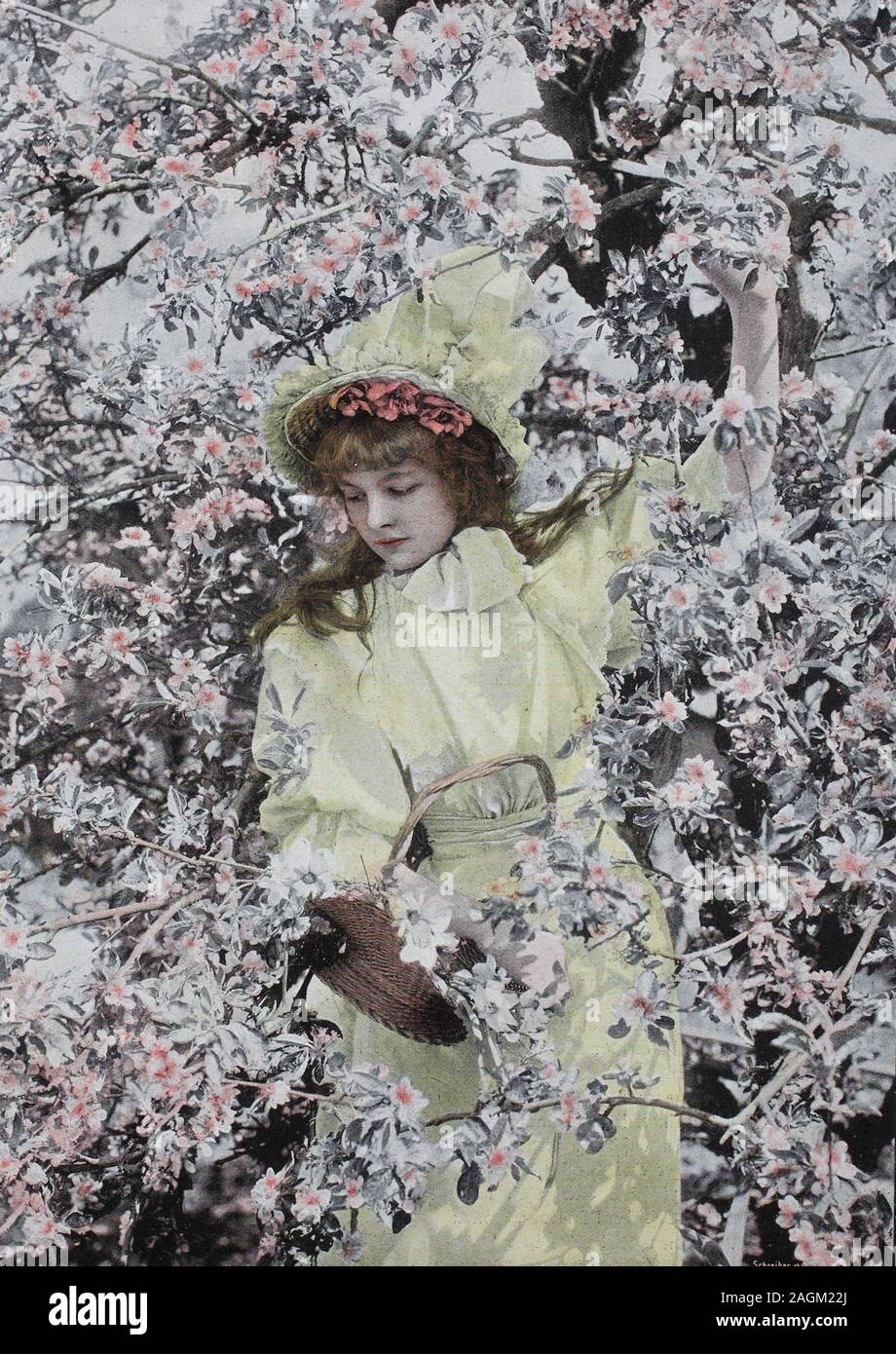 Girl is standing under a tree in full bloom, original print from the year 1899, Mädchen steht unter einem Baum in der vollen Blüte, Reproduktion einer Originalvorlage aus dem 19. Jahrhundert, digital verbessert Stock Photo