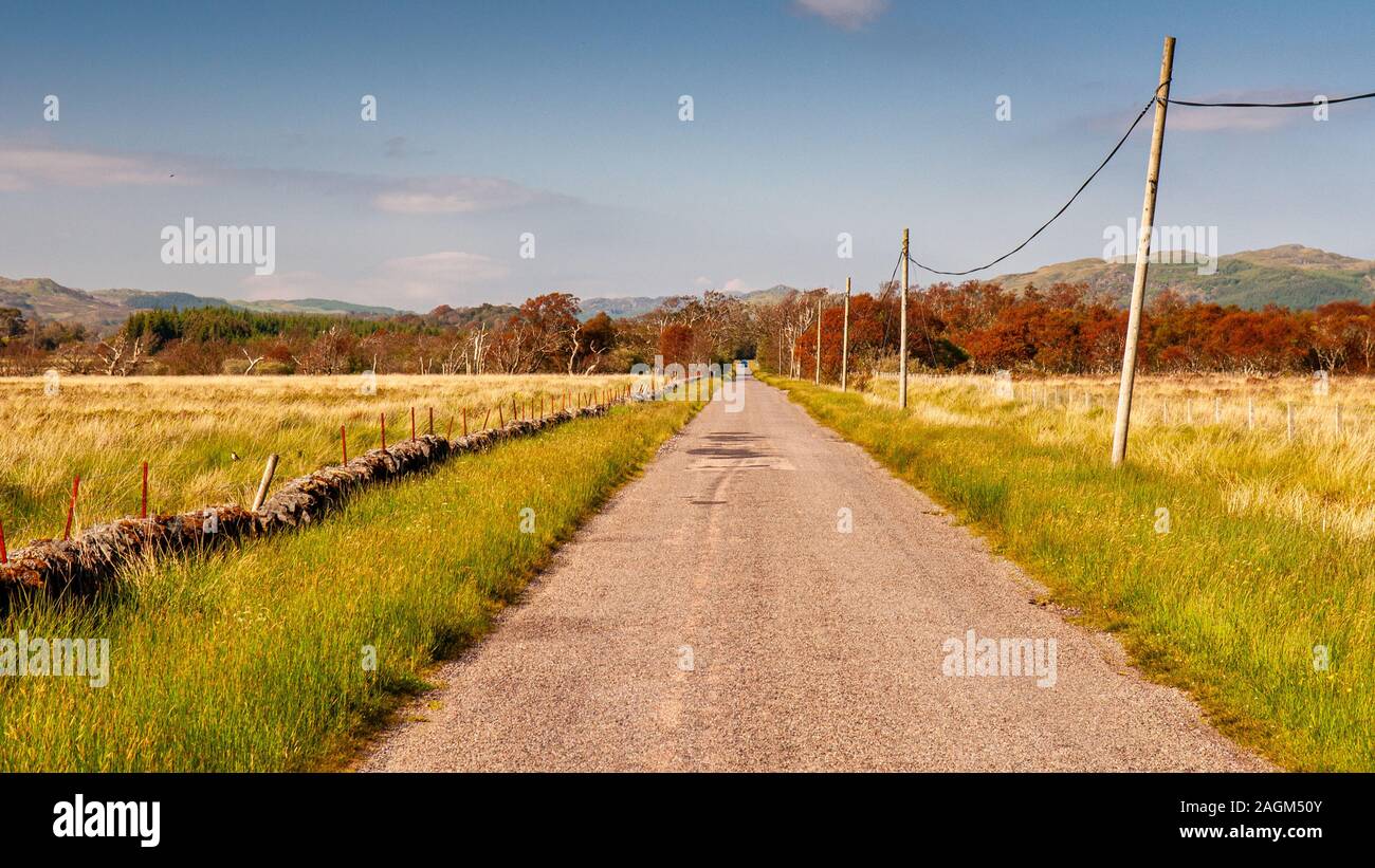 The B8925, incorporating the National Cycle Network's 'Caledonia Way', runs in a straight line accross the wetland Moine Mhor nature reserve near Crin Stock Photo