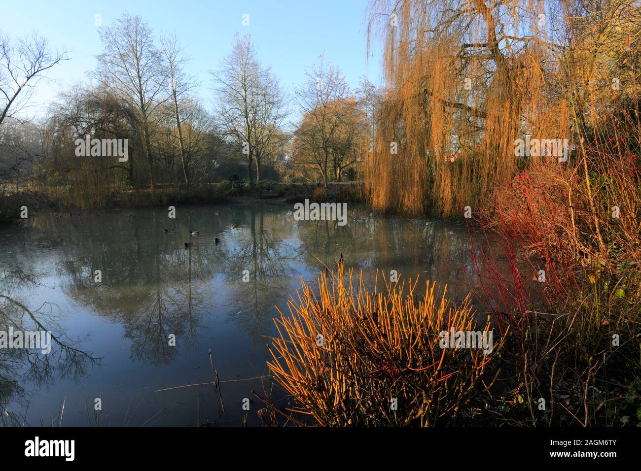 Autumn view over New park, Melton Mowbray, Leicestershire, England; Britain; UK Stock Photo