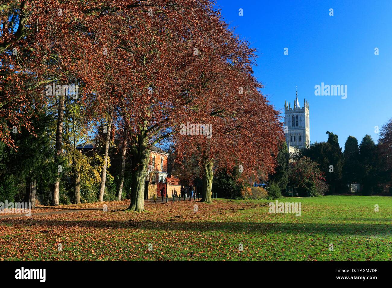 Autumn view over New park, Melton Mowbray, Leicestershire, England; Britain; UK Stock Photo