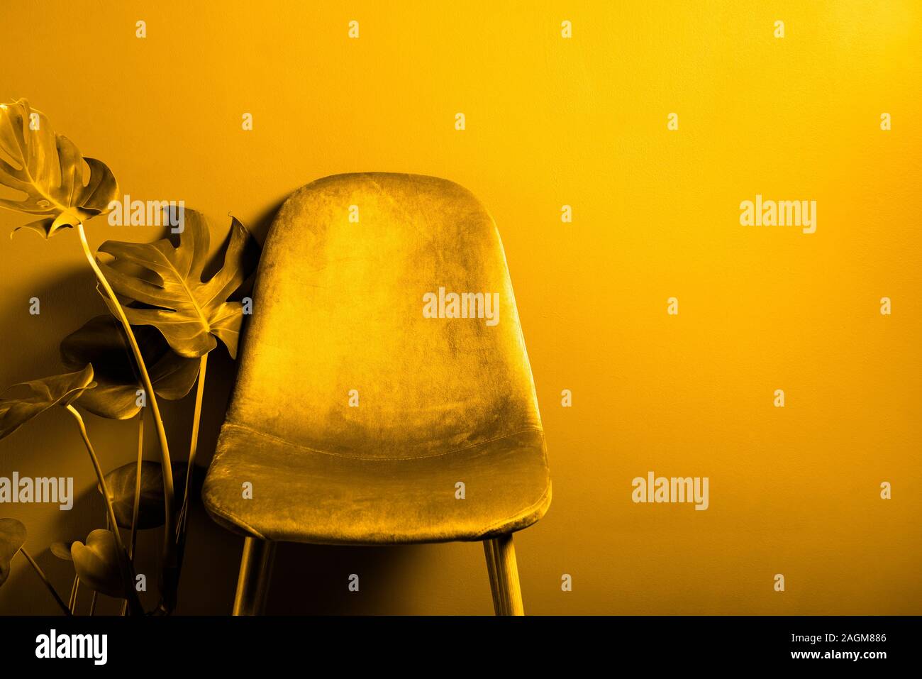 Modern Yellow Velour Chair on wooden legs, toned in yellow image Stock
