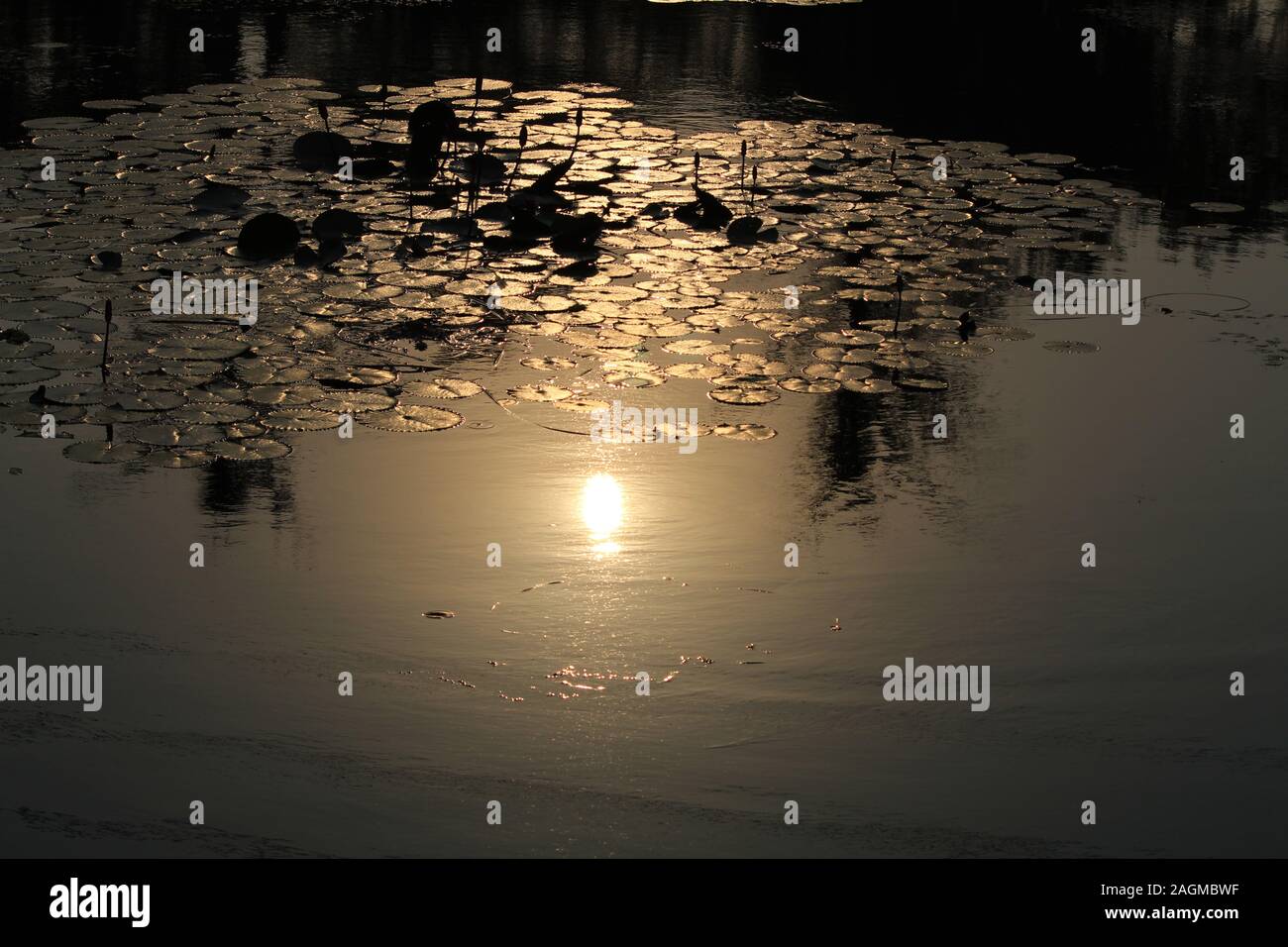 sunset reflection in a lake Stock Photo