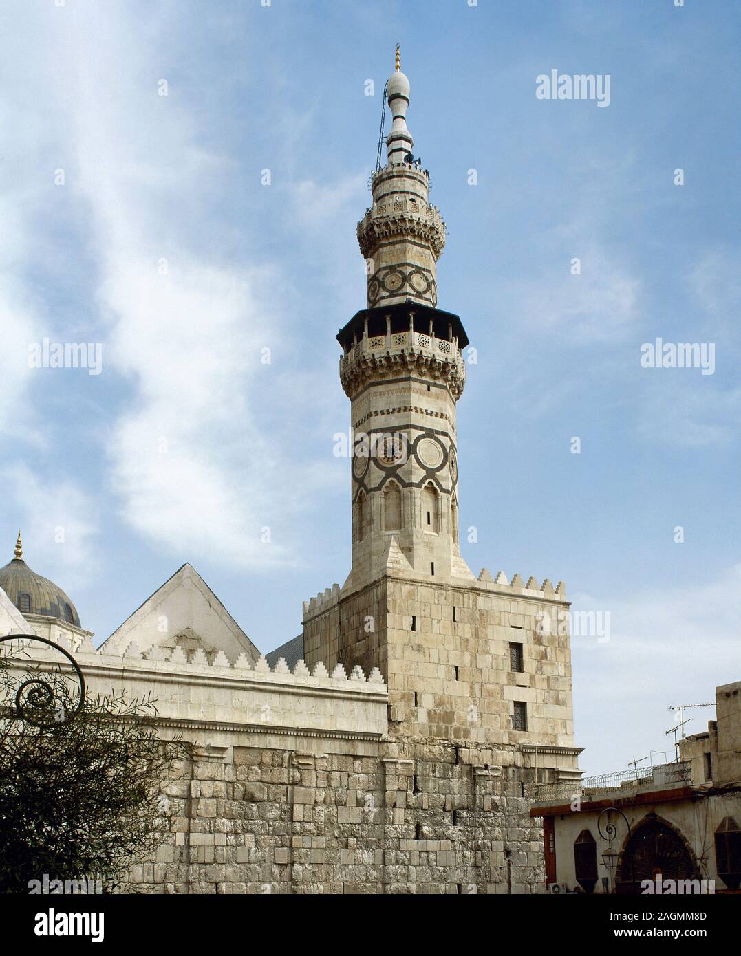 Eshakdagi trannyni sikish