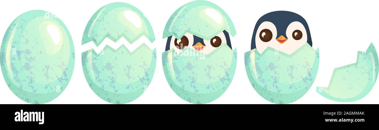 Bird egg isolated. Cute chick in eggshel vector illustration Stock Vector