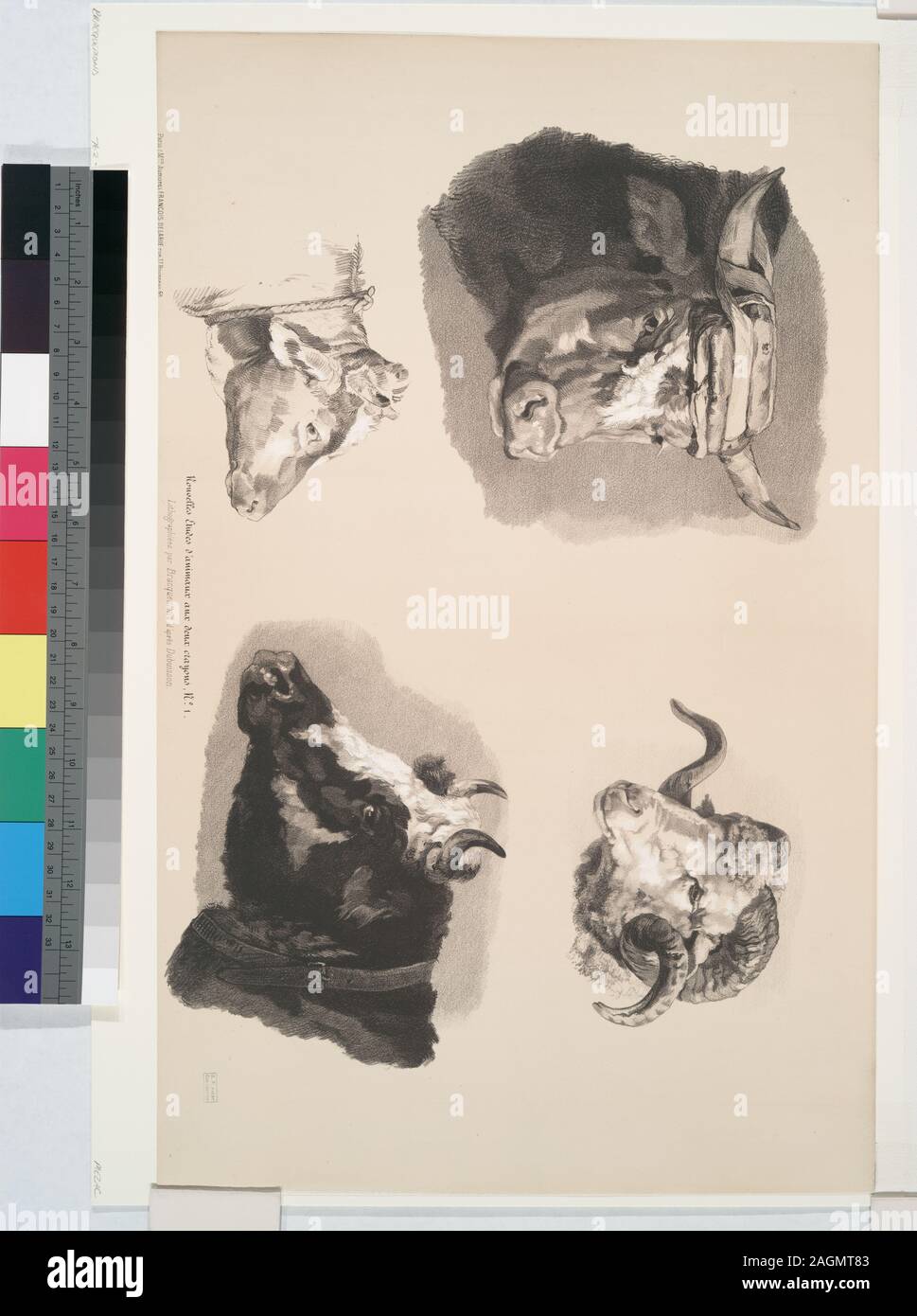 Admission Is Granted Through Application To The Office Of Special Collections Forms Part Of Prints By Felix Bracquemond In Samuel Putnam Avery Collection Holdings Checked In Departmental Copy Of Henri Beraldi Les