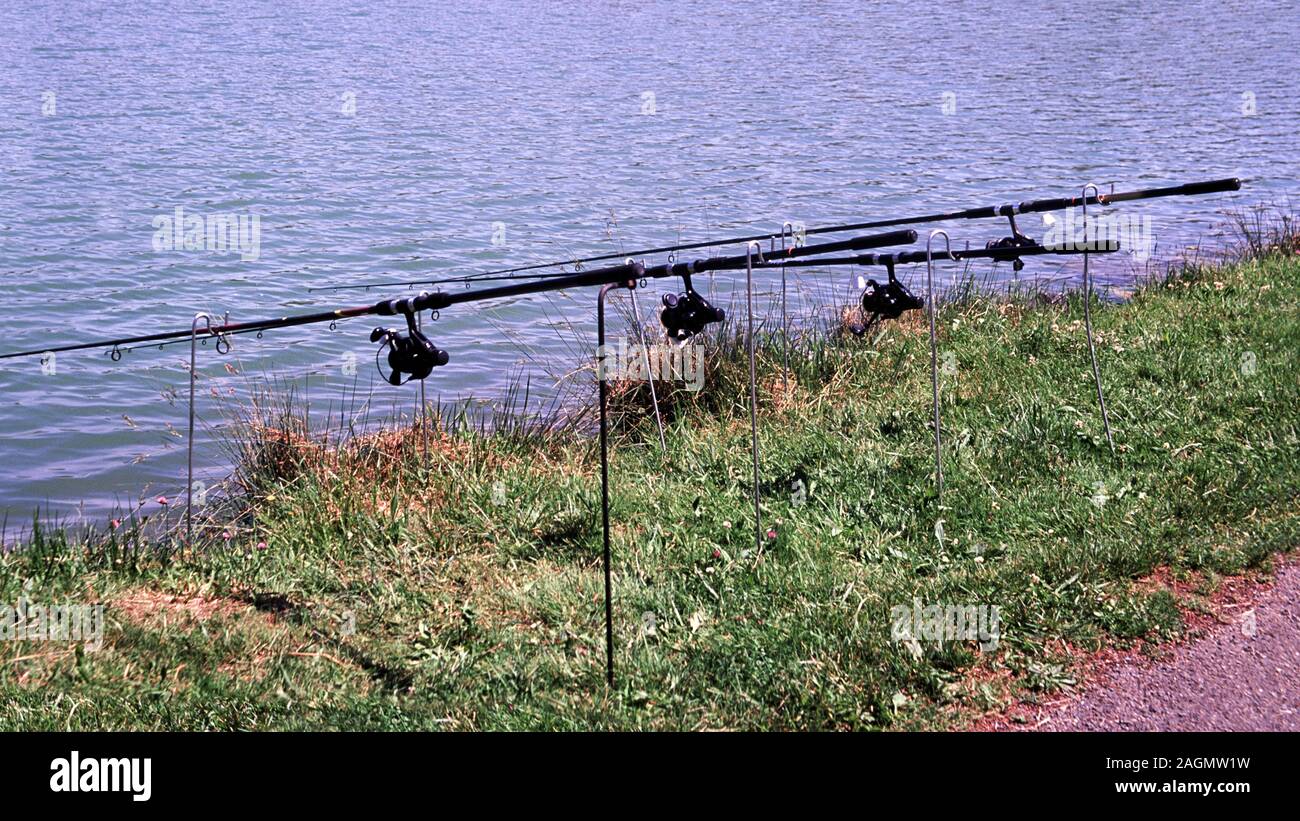 cyprinus fishing reel Piscifun® Carbon X II Lightweight Spinning Seemingly against the laws of nature Fishing rods or poles set
