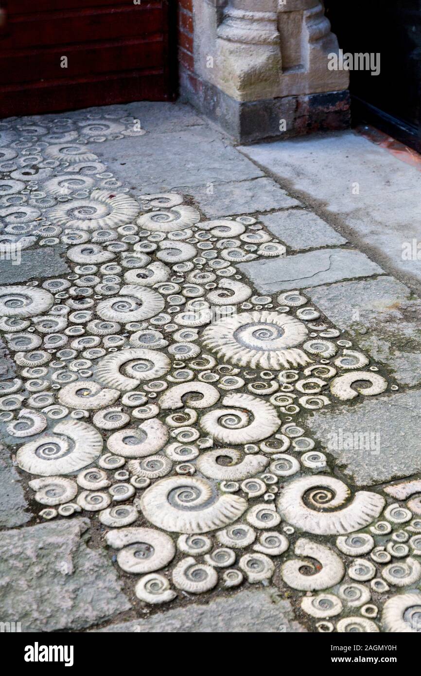 Replica ammonite fossils used to decorate the pavement outside the