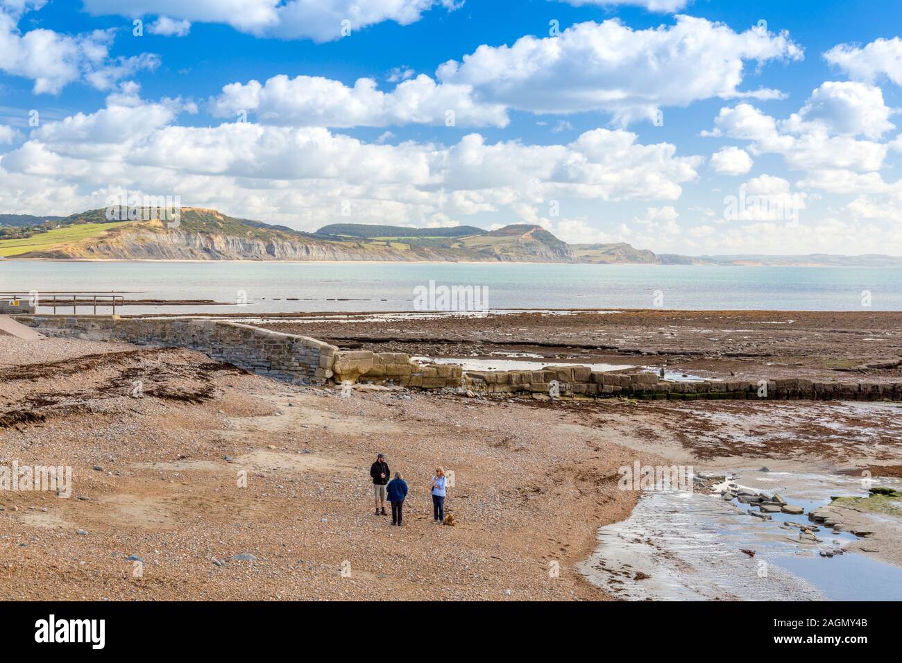 Golden Cap and the cliffs of the Jurassic Coast at low tide viewed from