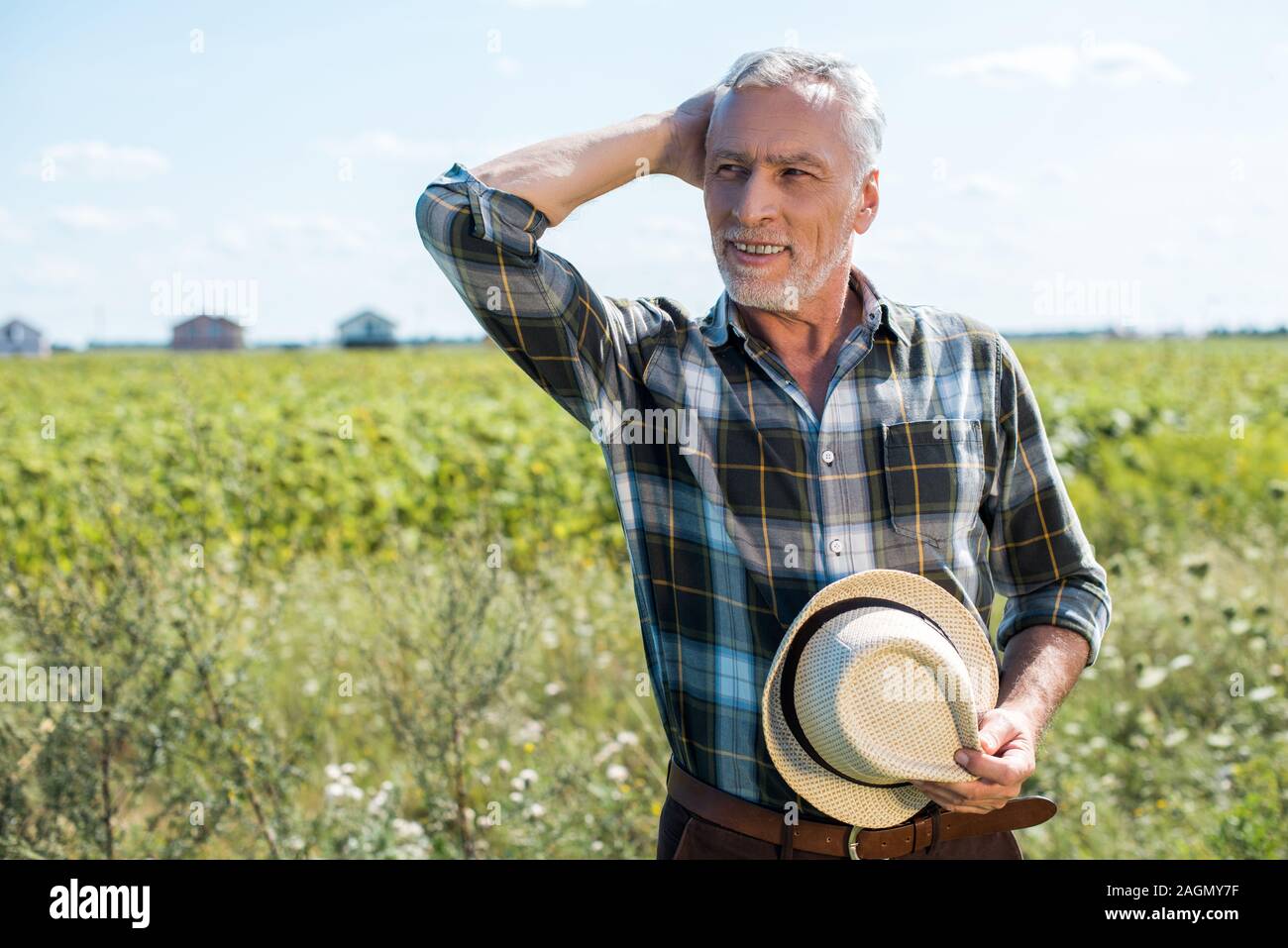 Senior farmer in grey hi-res stock photography and images - Alamy