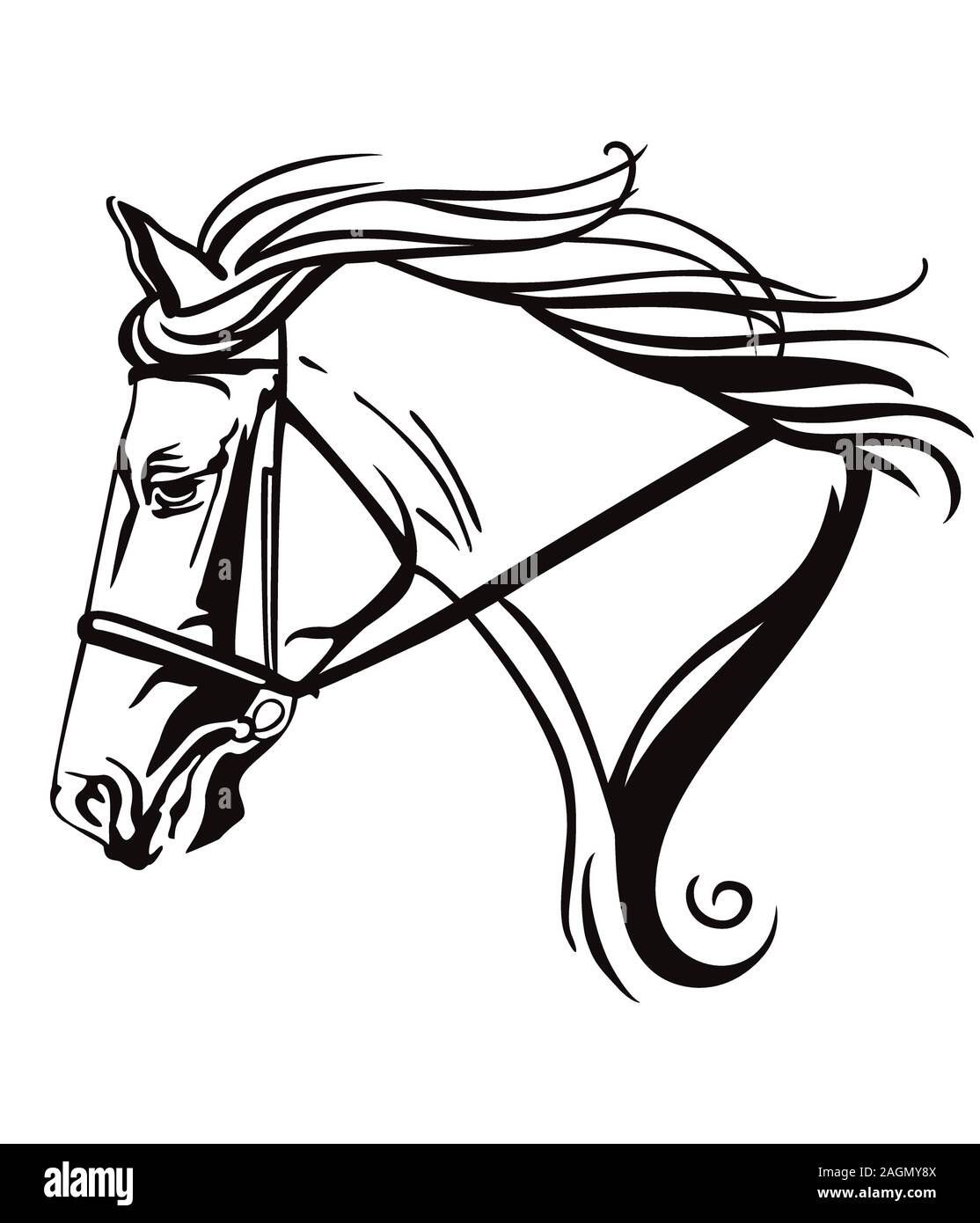 Decorative monochrome contour portrait of beautiful ornamental racehorse in bridle looking in profile, vector illustration in black color isolated on Stock Vector