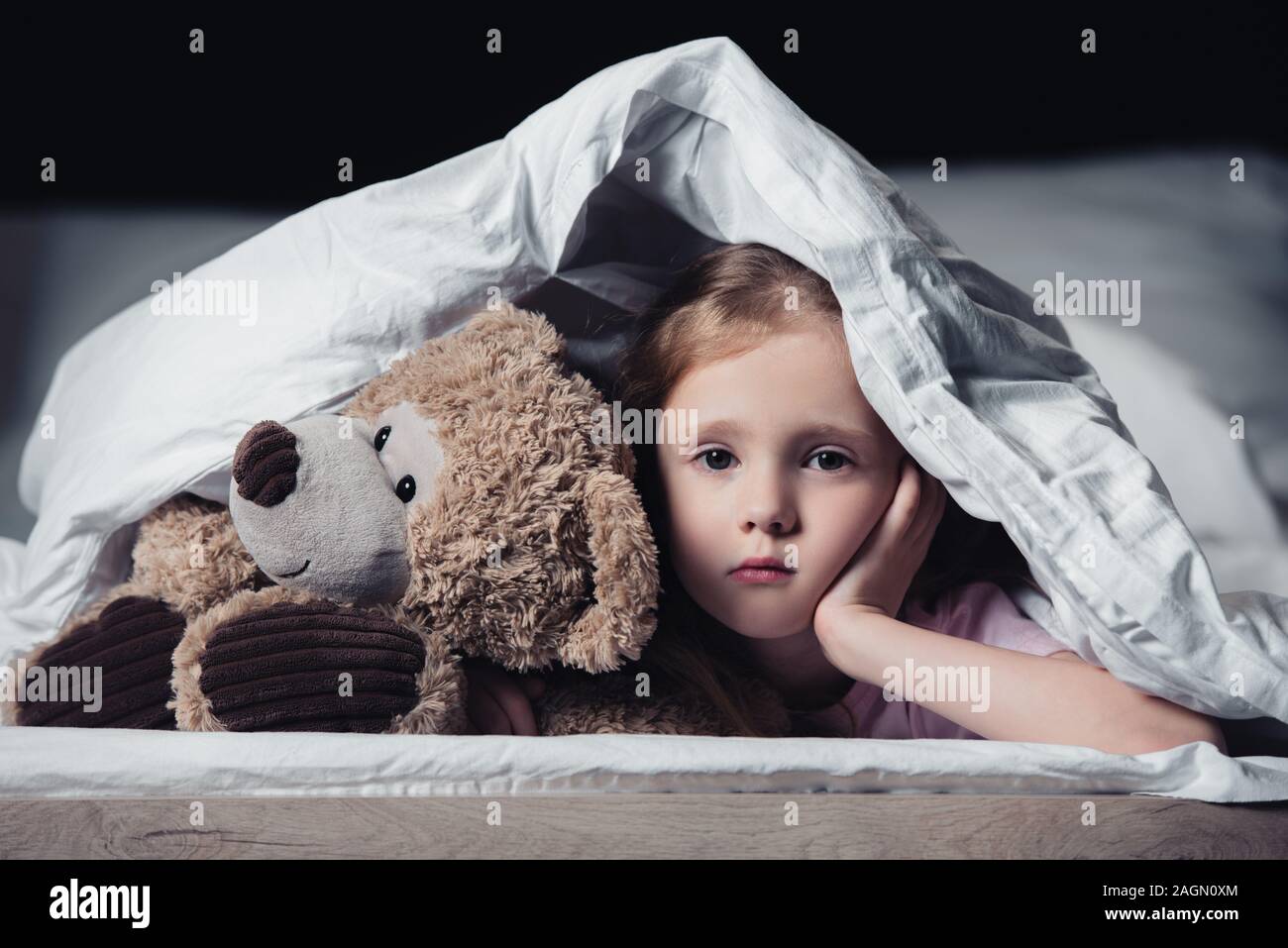 black teddy bear blanket