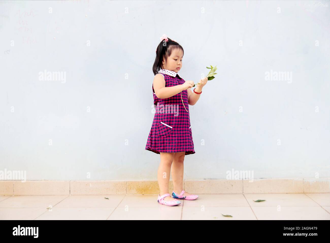 Liitle asian girl standing alone and holding a small plant in the hand Stock Photo