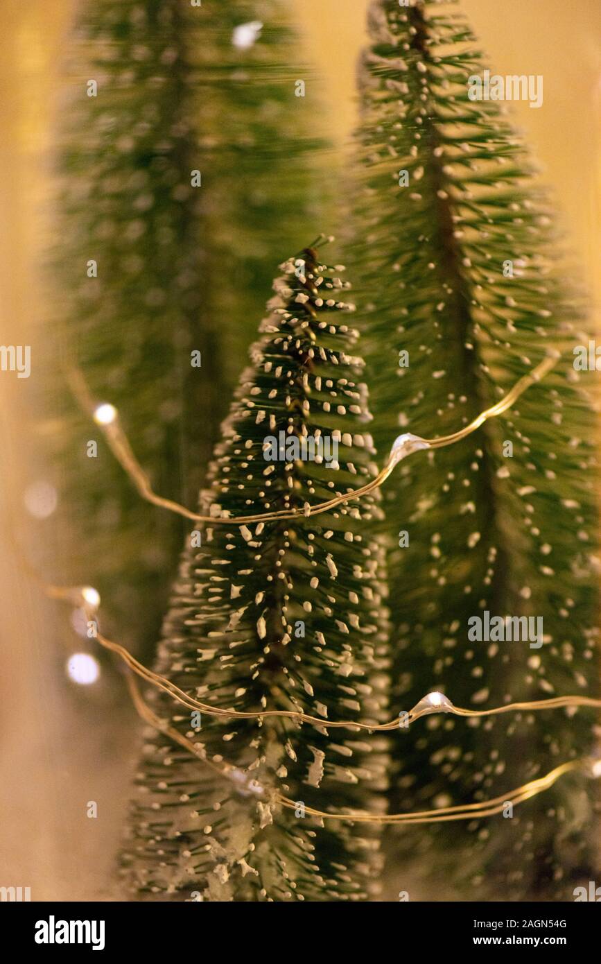 Three miniature artificial Christmas trees with lights, inside a glass